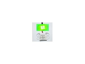 4 Spread Clear Box LED Green